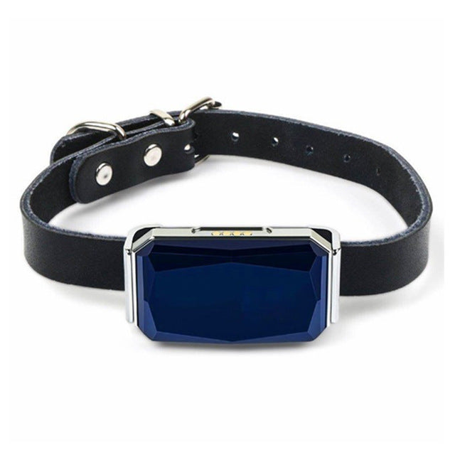 IP67 Waterproof Mini GPS Pet Tracker — Real-Time 4G Collar Locator