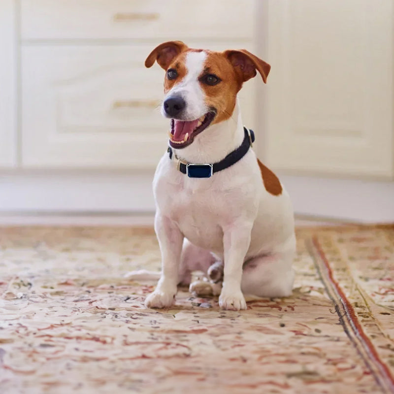 G12 Smart GPS Pet Tracker — Mini, Waterproof, Anti-Loss Collar for Dogs & Cats