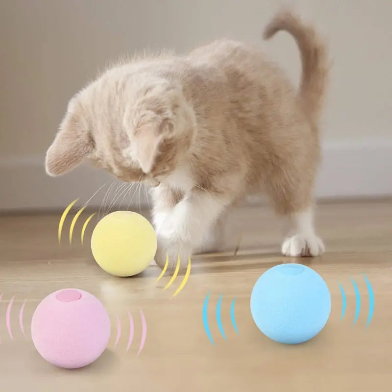 Interactive Catnip Ball Cat Toy eprolo