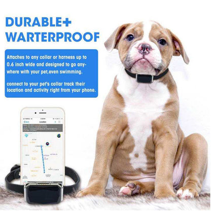 IP67 Waterproof Mini GPS Pet Tracker — Real-Time 4G Collar Locator