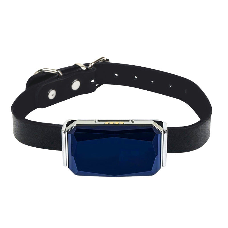 G12 Smart GPS Pet Tracker — Mini, Waterproof, Anti-Loss Collar for Dogs & Cats