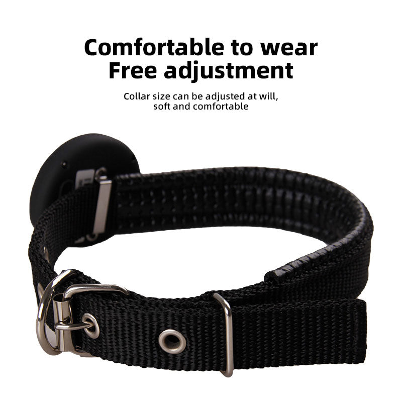 Smart GPS Pet Collar Tracker — Know Where Your Pet Is, Always