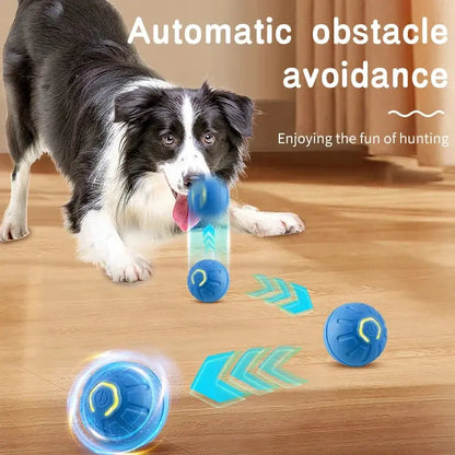 Smart Interactive Dog & Cat Toy Ball eprolo