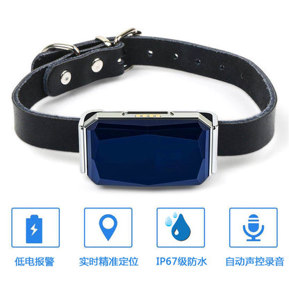 IP67 Waterproof Mini GPS Pet Tracker — Real-Time 4G Collar Locator