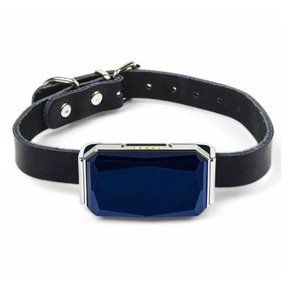 IP67 Waterproof Mini GPS Pet Tracker — Real-Time 4G Collar Locator