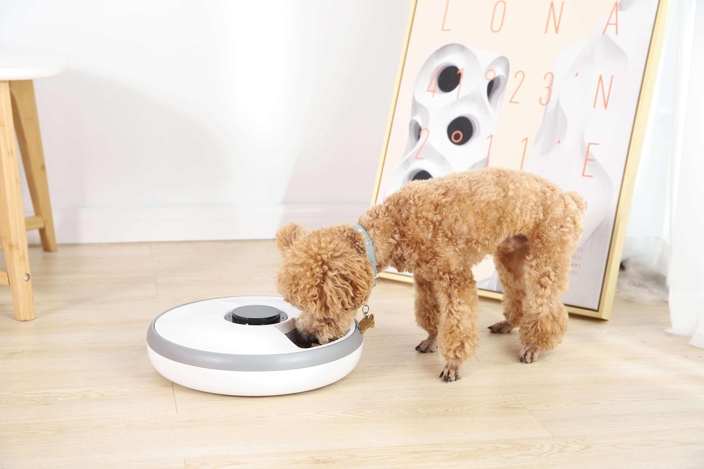 Smart Auto Pet Feeder — 6 Meal Timed Dispenser with Voice Recording