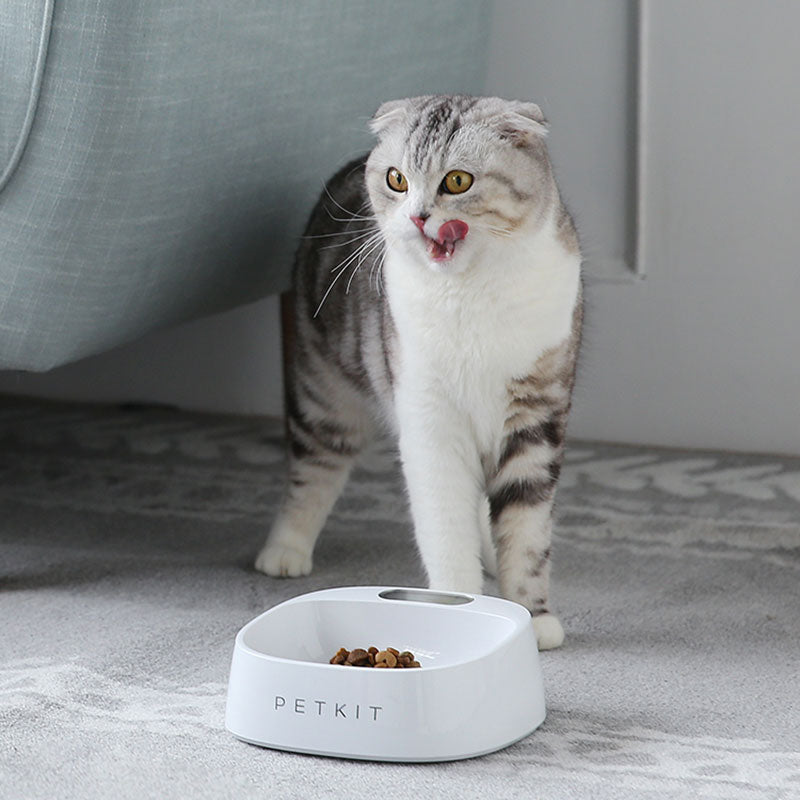 Anti-Microbial Smart Pet Bowl — Track Every Meal (5 Styles)