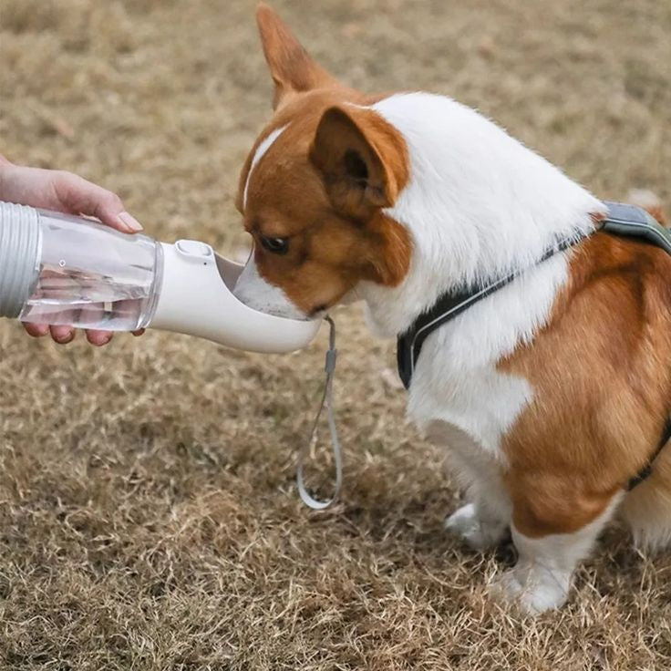 3-in-1 Portable Pet Water Bottle — Water, Food & Bags in One Hand