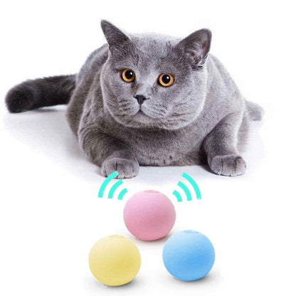 — Instant Play, Even for Lazy Cats