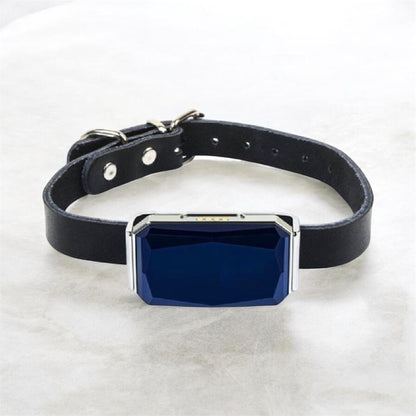 IP67 Waterproof Mini GPS Pet Tracker — Real-Time 4G Collar Locator