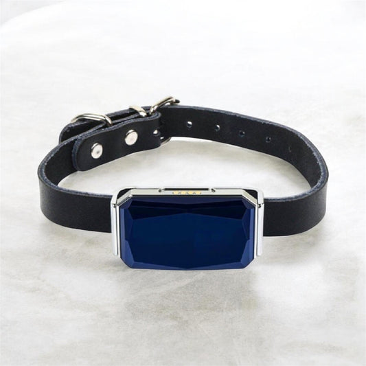 IP67 Waterproof Mini GPS Pet Tracker — Real-Time 4G Collar Locator
