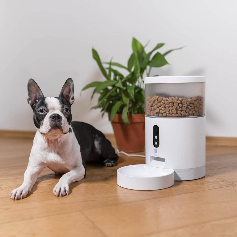 Emma Williams review product
