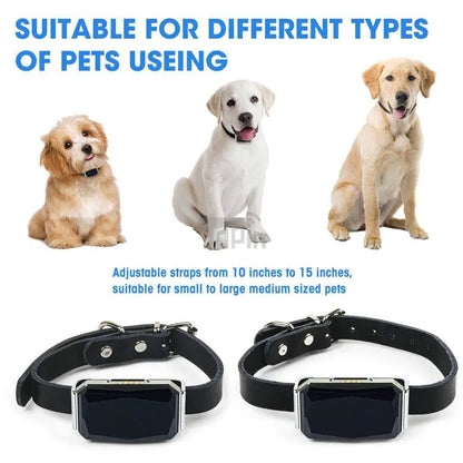 IP67 Waterproof Mini GPS Pet Tracker — Real-Time 4G Collar Locator