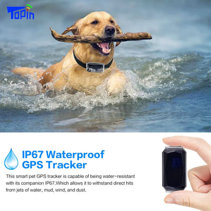 IP67 Waterproof Mini GPS Pet Tracker — Real-Time 4G Collar Locator