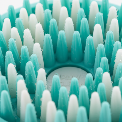 Close-up — Silicone bristle interior detail